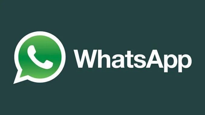 WhatsApp evolve: nuove foto animate e strumenti AI in chat WhatsApp evolve: nuove foto animate e strumenti AI in chat